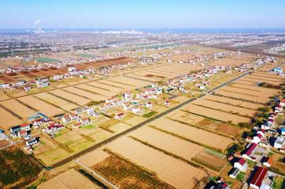 启东乡村游再登央视，沙地圩田文化与创新投资双轮驱动