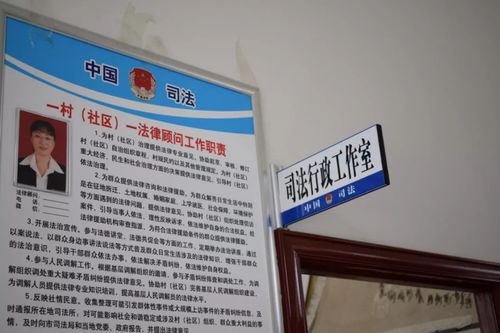 计算机科技赋能乡村实业，烟台莱州见证科技志愿服务新篇章